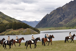 The Ultimate Horse Treck