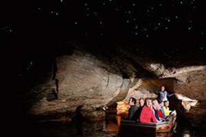 Glowworm Caves