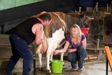 Agrodome Sheep Show