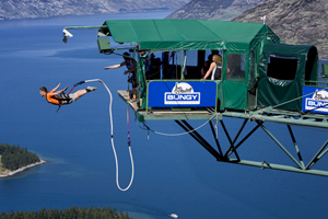 bungy_swing