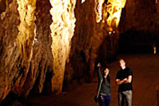 Waitomo Caves