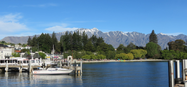 Christchurch Morning Highlights Inc Wildlife Cruise