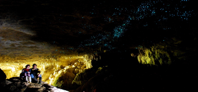 Auckland / Waitomo / Rotorua / Napier /Wellington