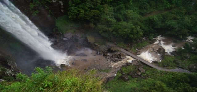 Te Puia, Rainbow Springs and Agrodome