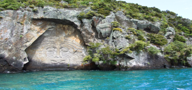 WELLINGTON TO KAIKOURA 3 DAY – KAIKOURA WHALE WATCH
