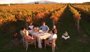 North Island Coach Tours — Volcanoes, Culture, and Coastline