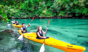 Travelling New Zealand by Coach